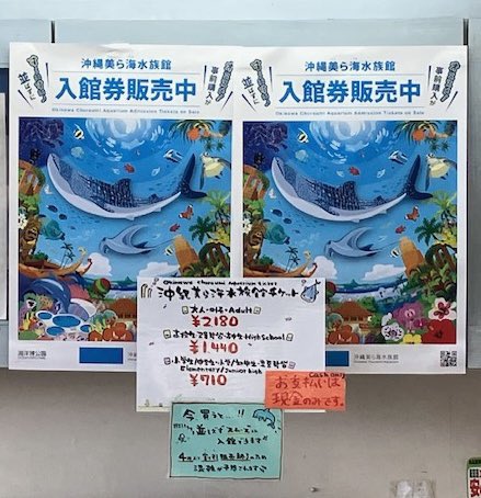 美ら海水族館入館券割引販売中🐬／ 沖縄自動車道 伊芸SA下り線・中城PA