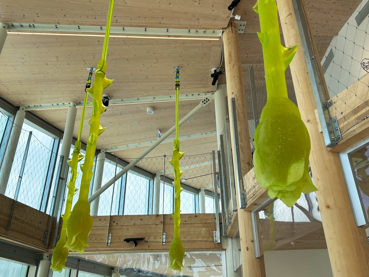 レネのモデルになった「ガラスの雲」をやっと見られて嬉しかったチェコ