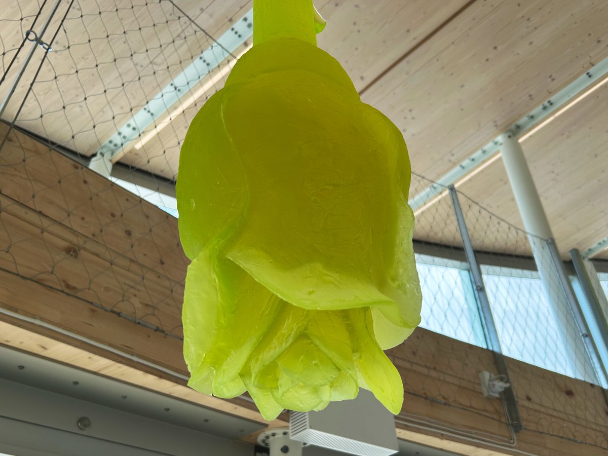 レネのモデルになった「ガラスの雲」をやっと見られて嬉しかったチェコ