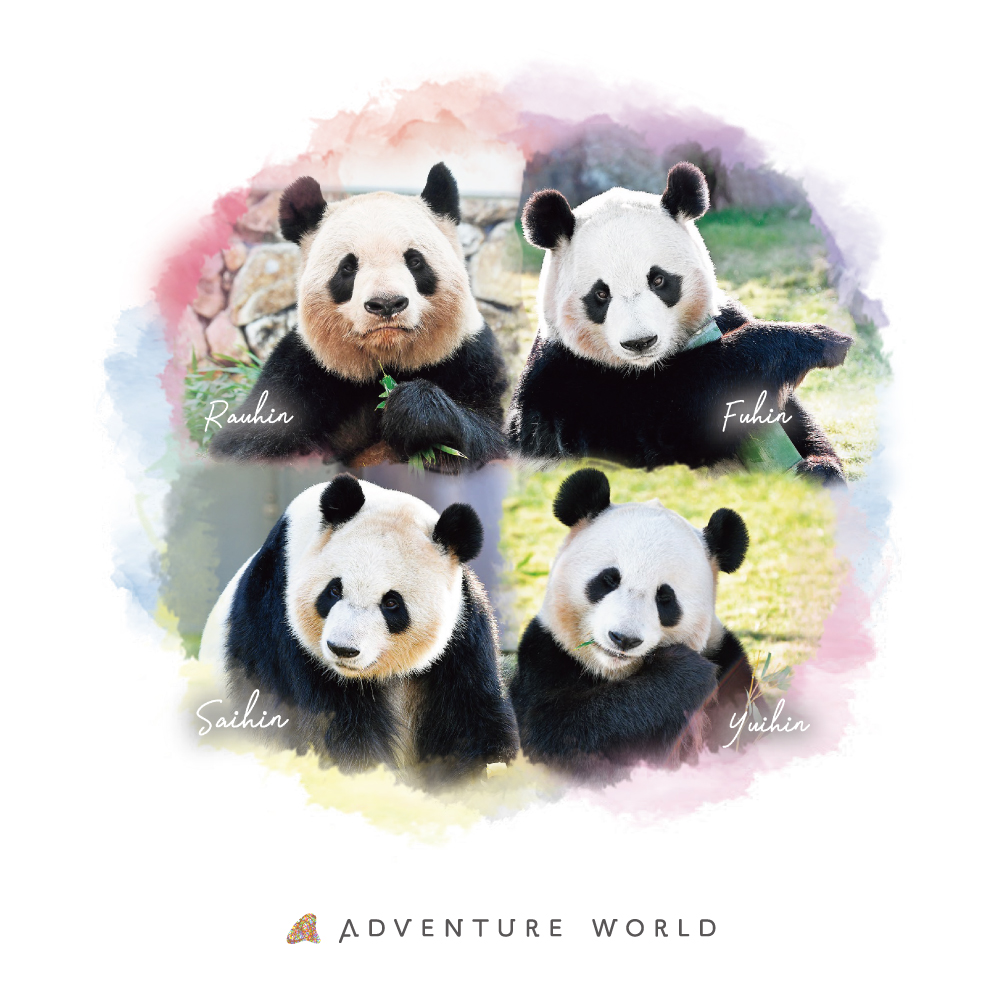 4頭のグッズ販売開始🐼】 中国へと帰国する4頭を応援するグッズを2025