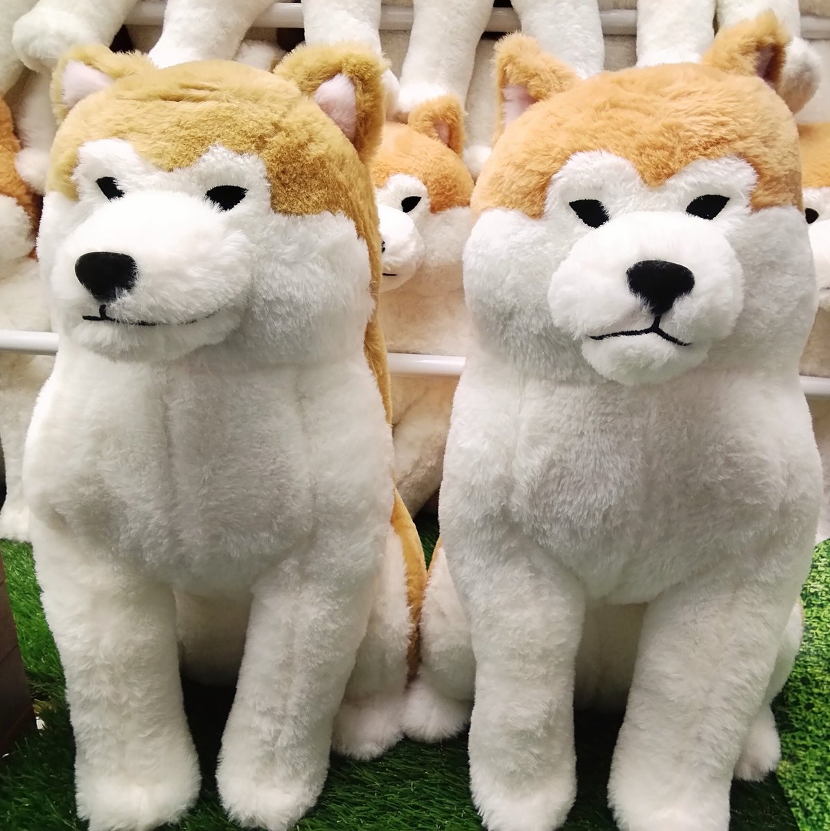 景品入荷情報】 〈クレーンゲームコーナー〉 ✨【ほっこり秋田犬はち