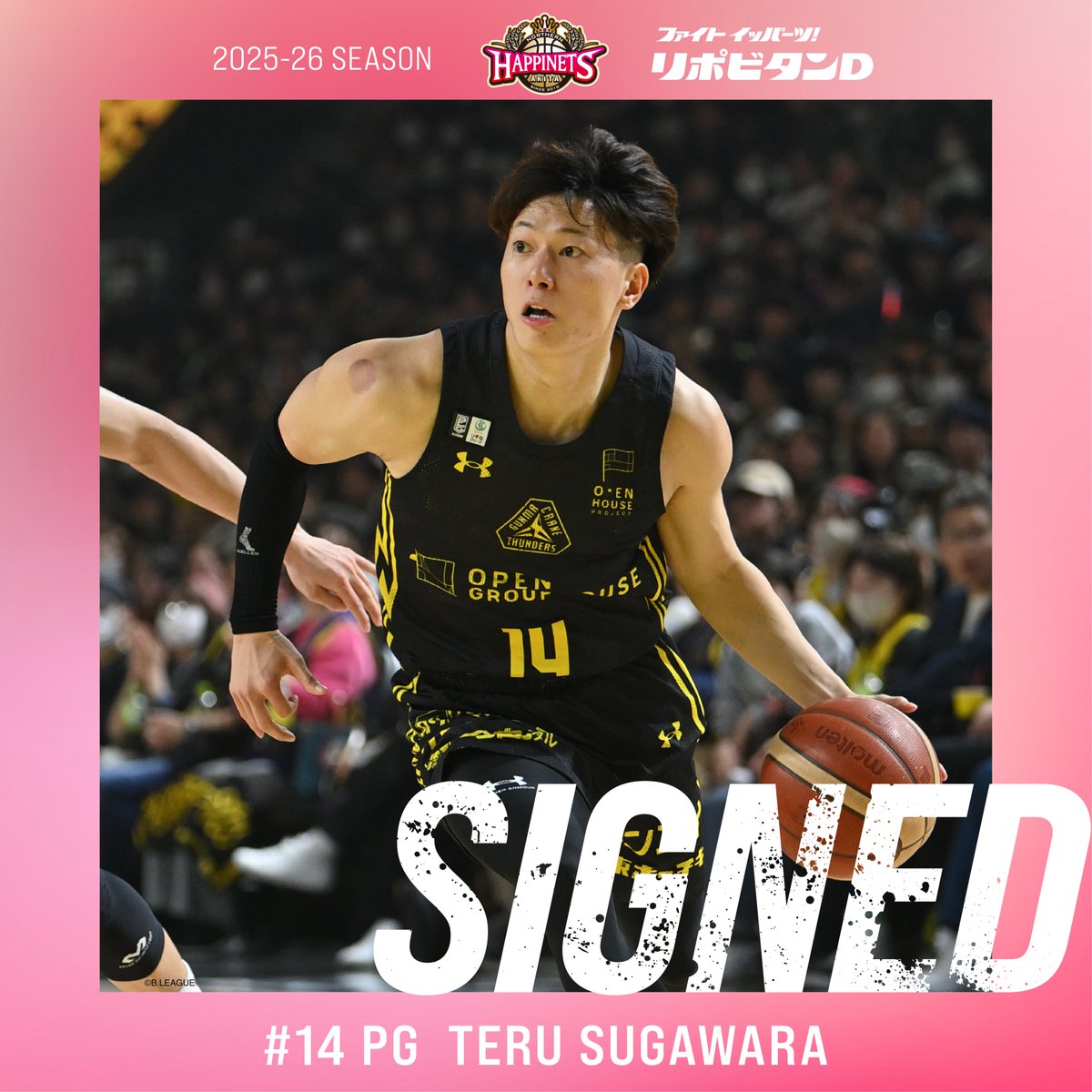 新入団】選手契約合意 秋田ノーザンハピネッツでは #菅原暉 選手と2025