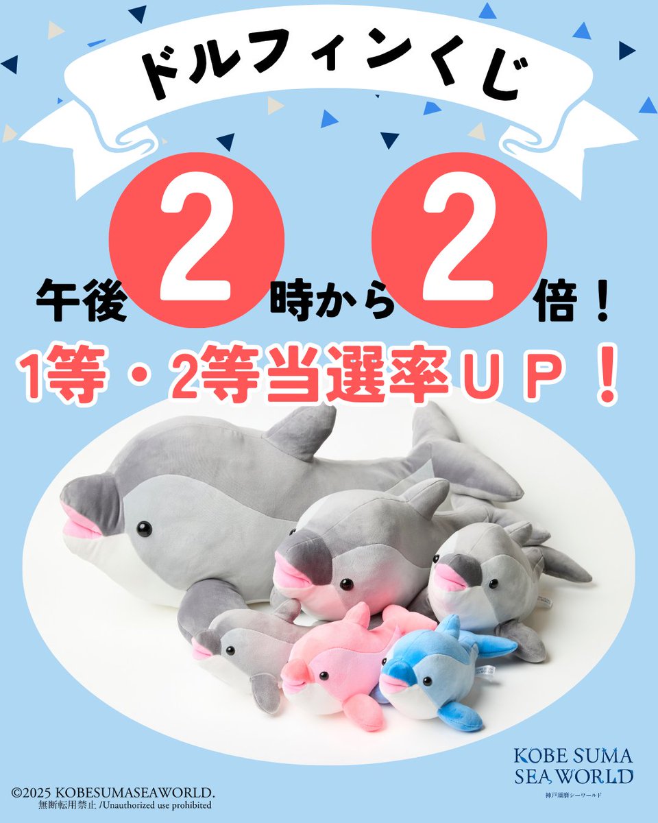 人気のドルフィンくじが午後2時から2倍！当選率が上がります！ 1周年の