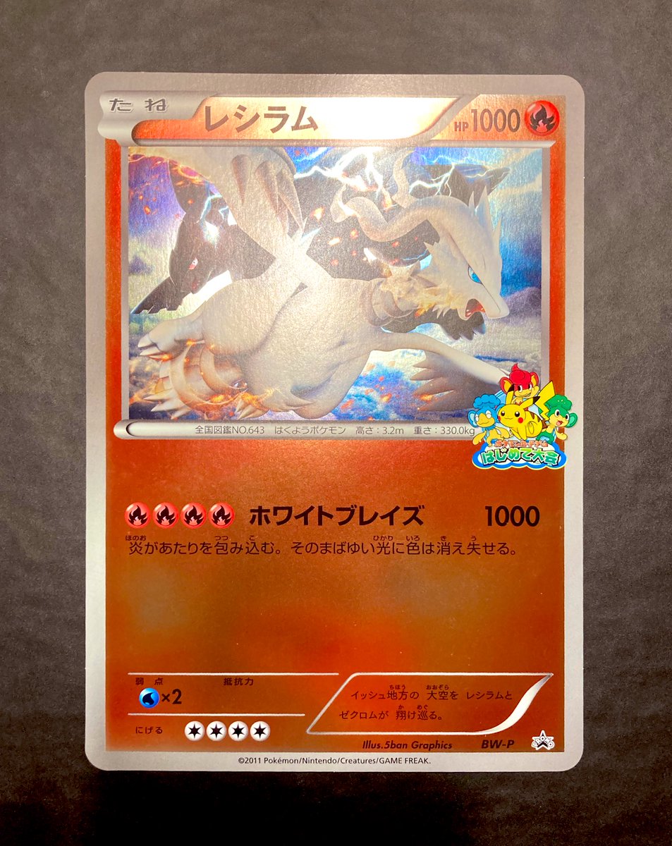 チラーミィ ジャンボカードBW-P ポケモンカード チラーミィ(P)(022-BW