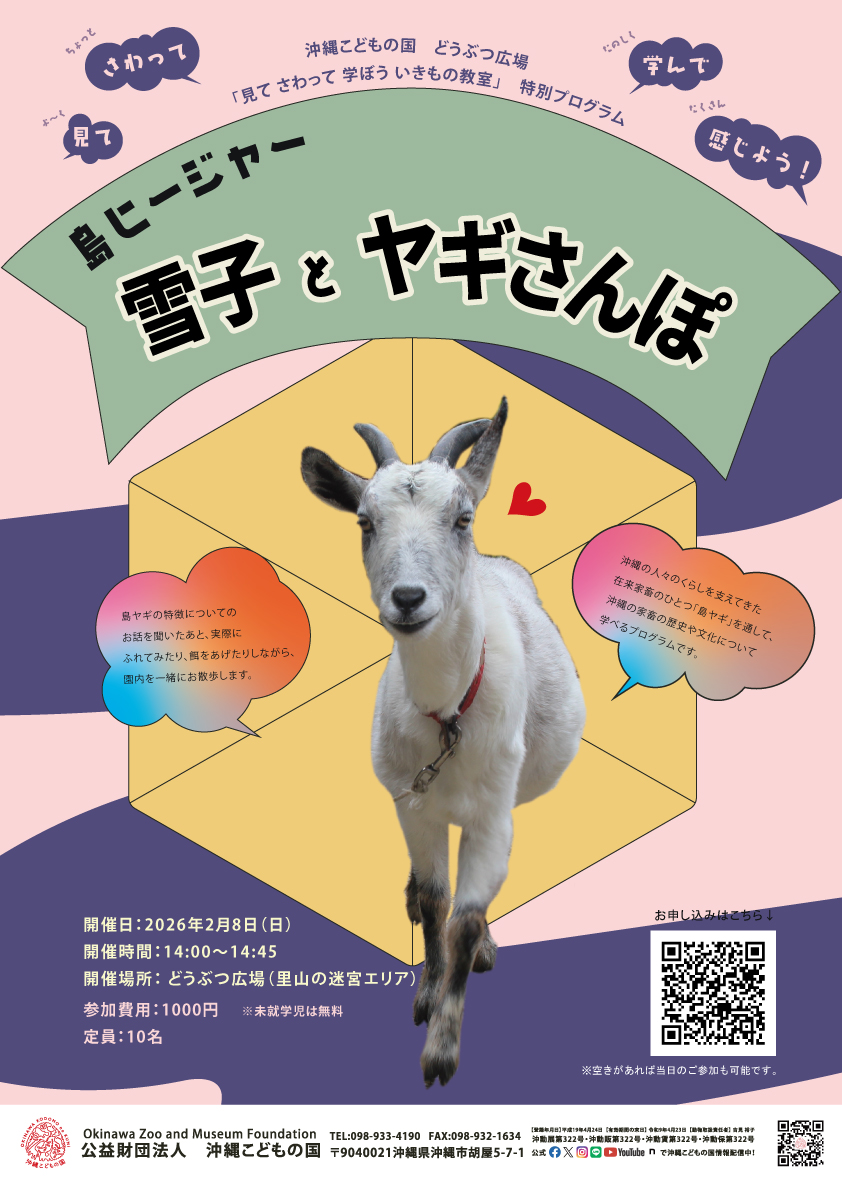 参加者募集中！ 『どうぶつ広場特別ワークショップ「島ヒージャー雪子