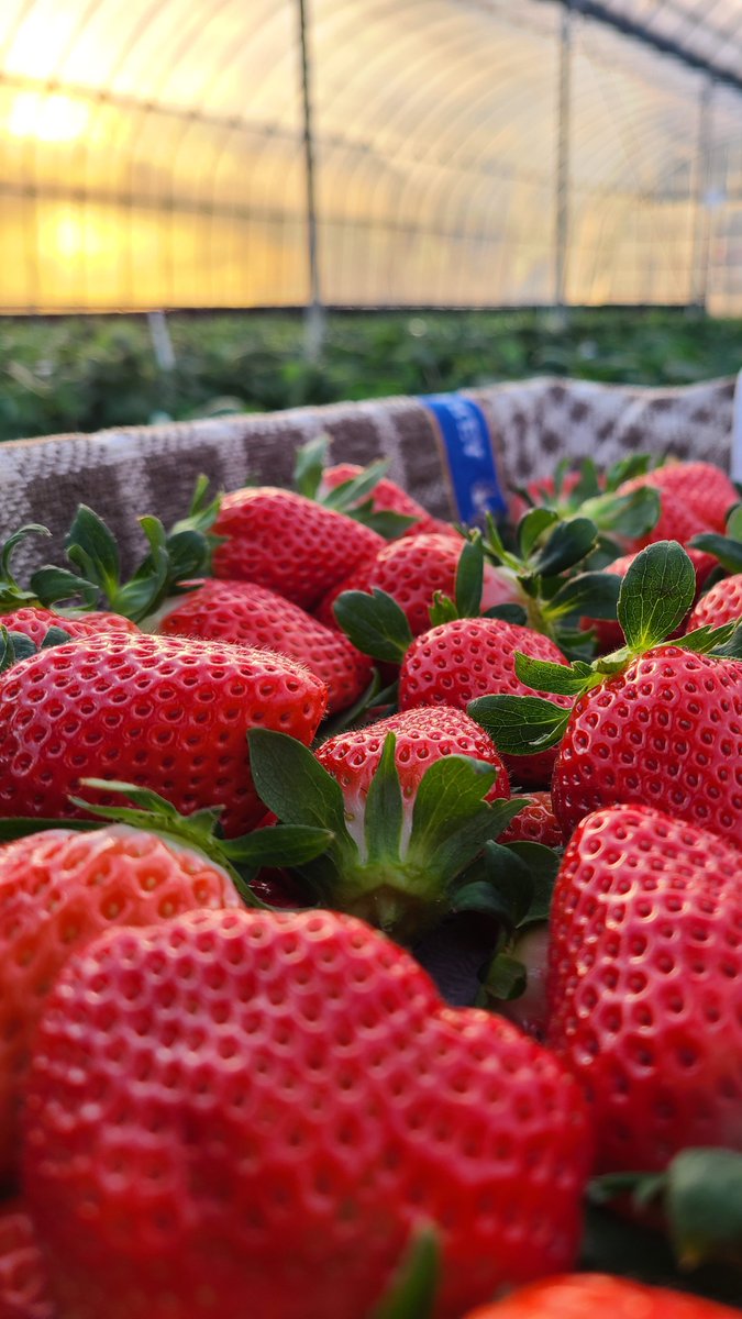 Photography on X Community on X - 28.2K Members