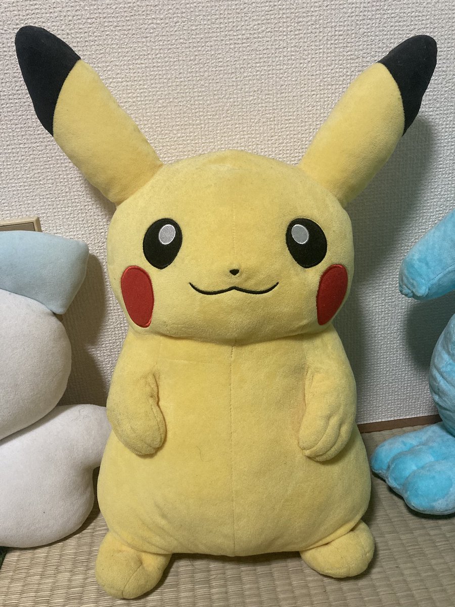 新品！ ポケパーク カントー ショップ 限定 ピカチュウ ぬいぐるみ5体