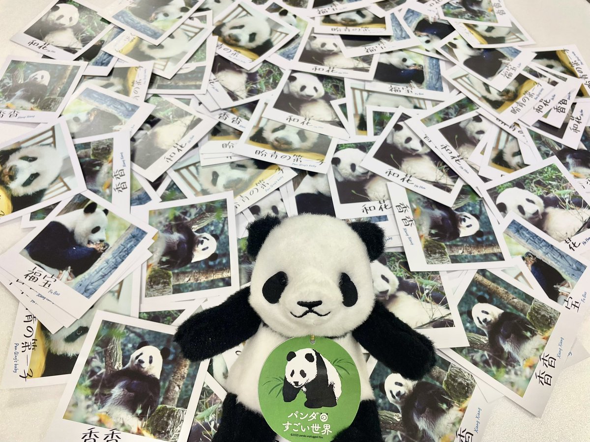 パンダのすごい世界』 入場者プレゼント配布中！ 全国の上映劇場にて