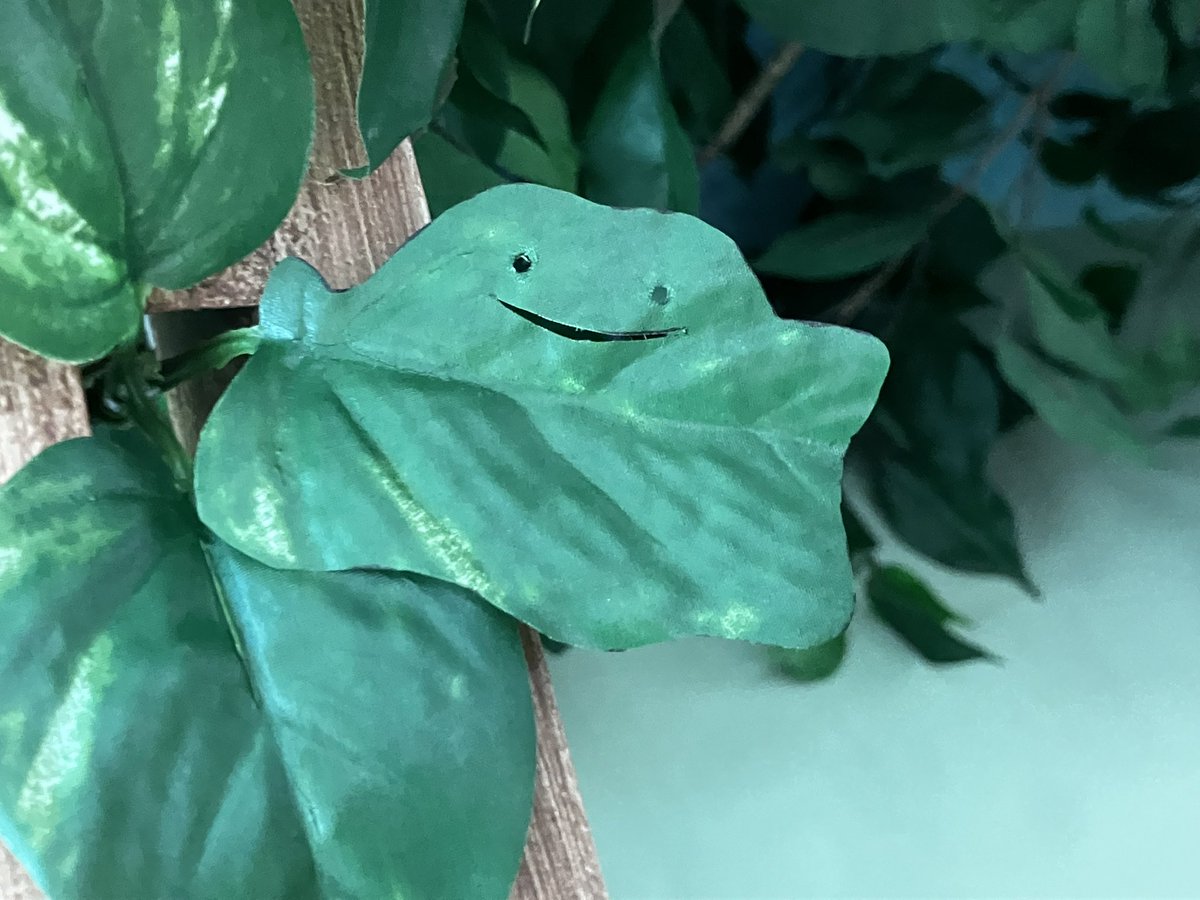 ポケモンふえあいハウス待合室でメタモン見つけてください