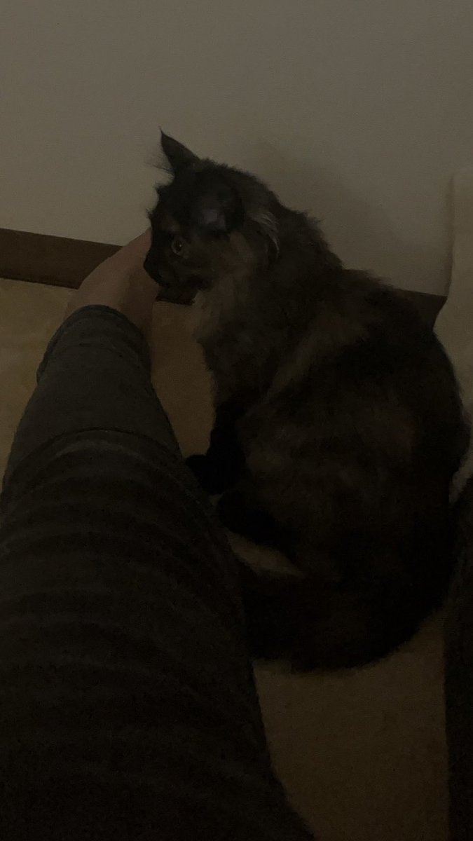 にゃん太郎s@漫画家 (@2525nyanpoko) / Posts / X