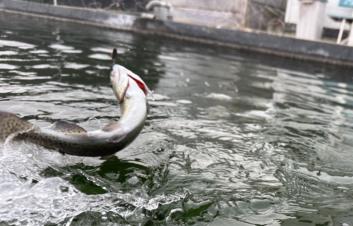 早乙女智啓 (@9999tomo) / Posts / X