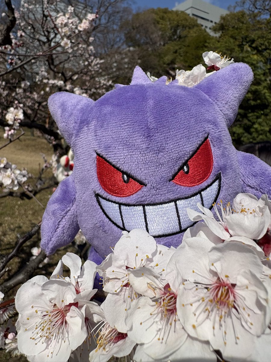 ゲンガーは今日も楽しそう