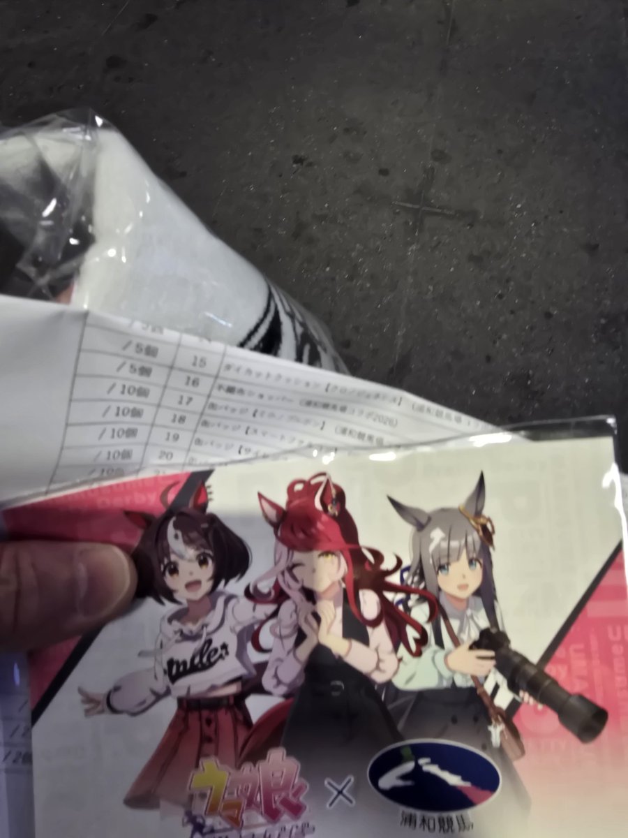 ウマ娘コラボグッズ購入 スポーツタオルだけ‼️ キャラ推し増えて買う