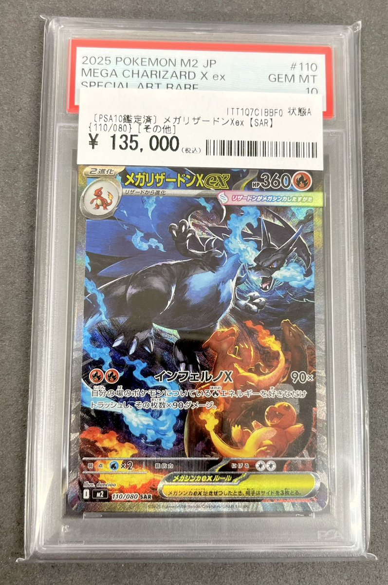 🎉✨ お買い上げありがとうございます ✨🎉 🌈 テラスタルブイズたち