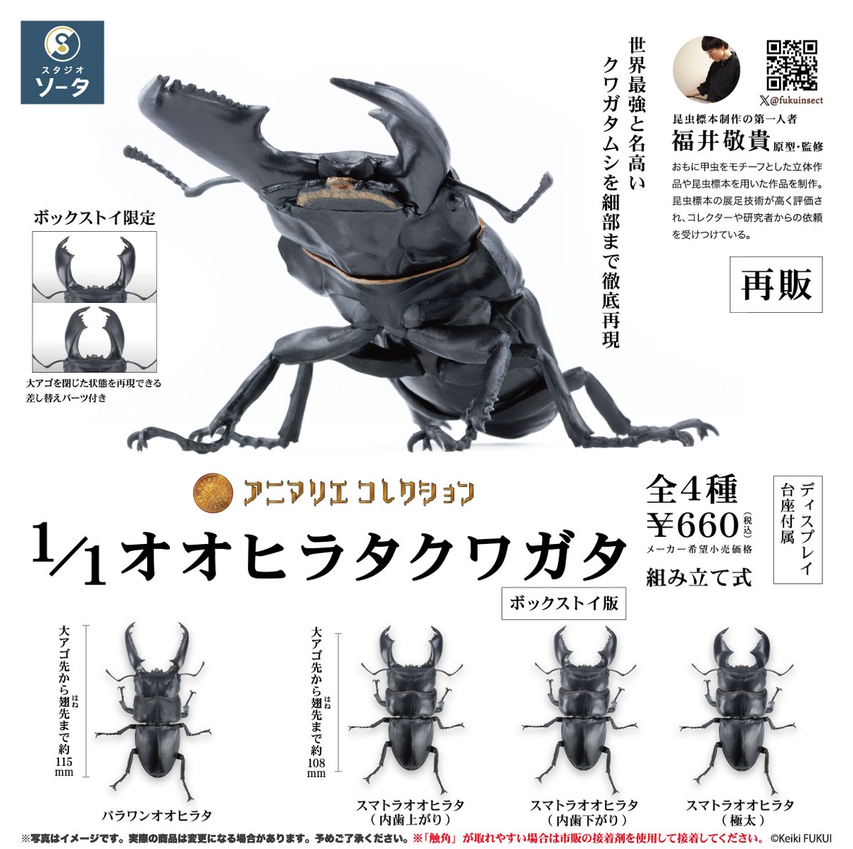 🆕🔍✨2026年6月発売商品✨🪵🆕 予約開始のお知らせ📢 「アニマリエ