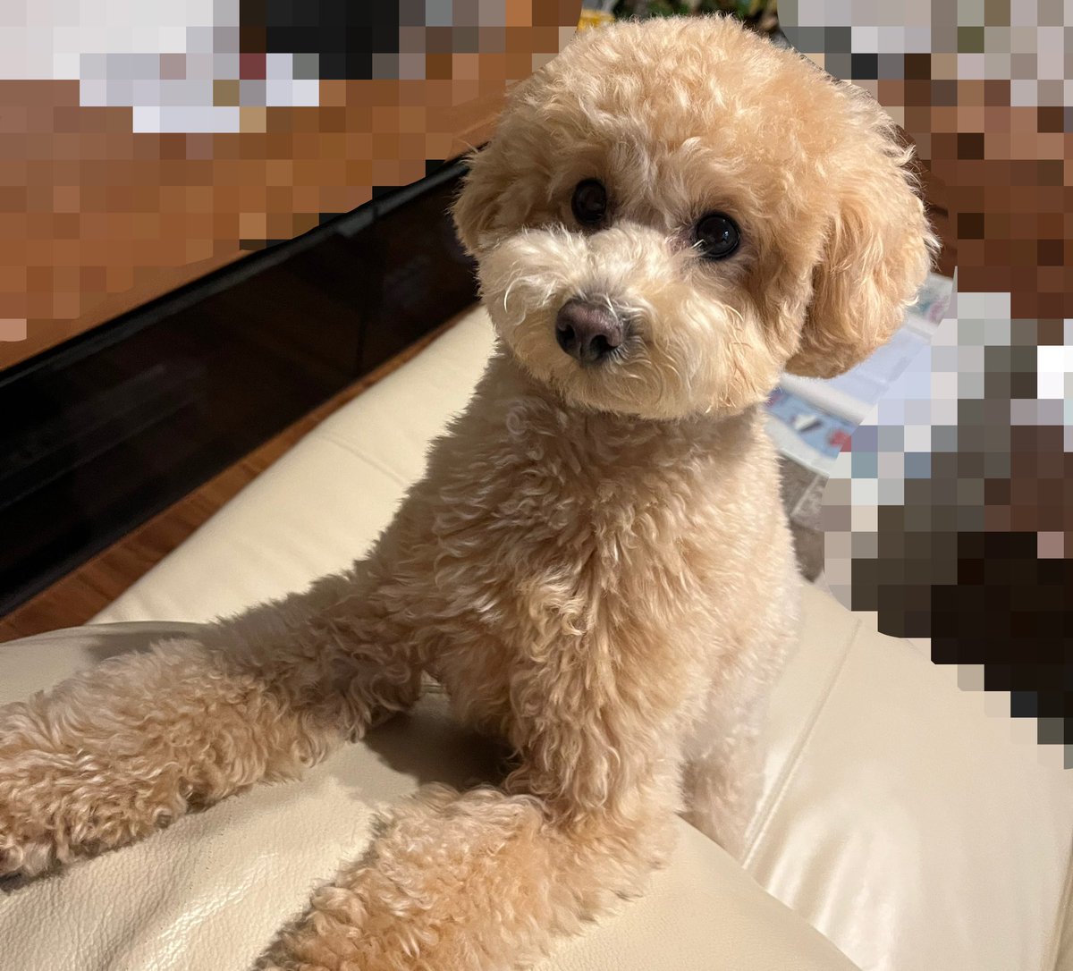 ふみ (@fumi23tv) / Posts / X