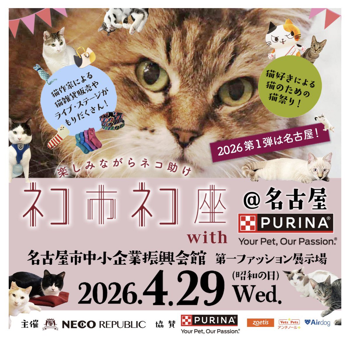 チグラーシャ🐈‍⬛4/18.19にゃんだらけ4/29ネコ市ネコ座