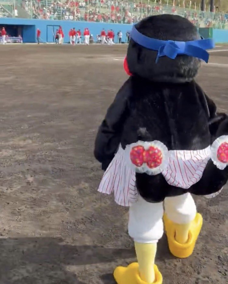 ⚾️☂️🐧昨日のつばみちゃん🎀💚 #つばみ