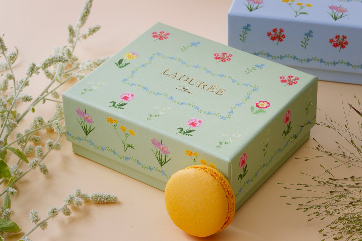 ラデュレ・ジャポン (@ladureejapon) / Posts / X