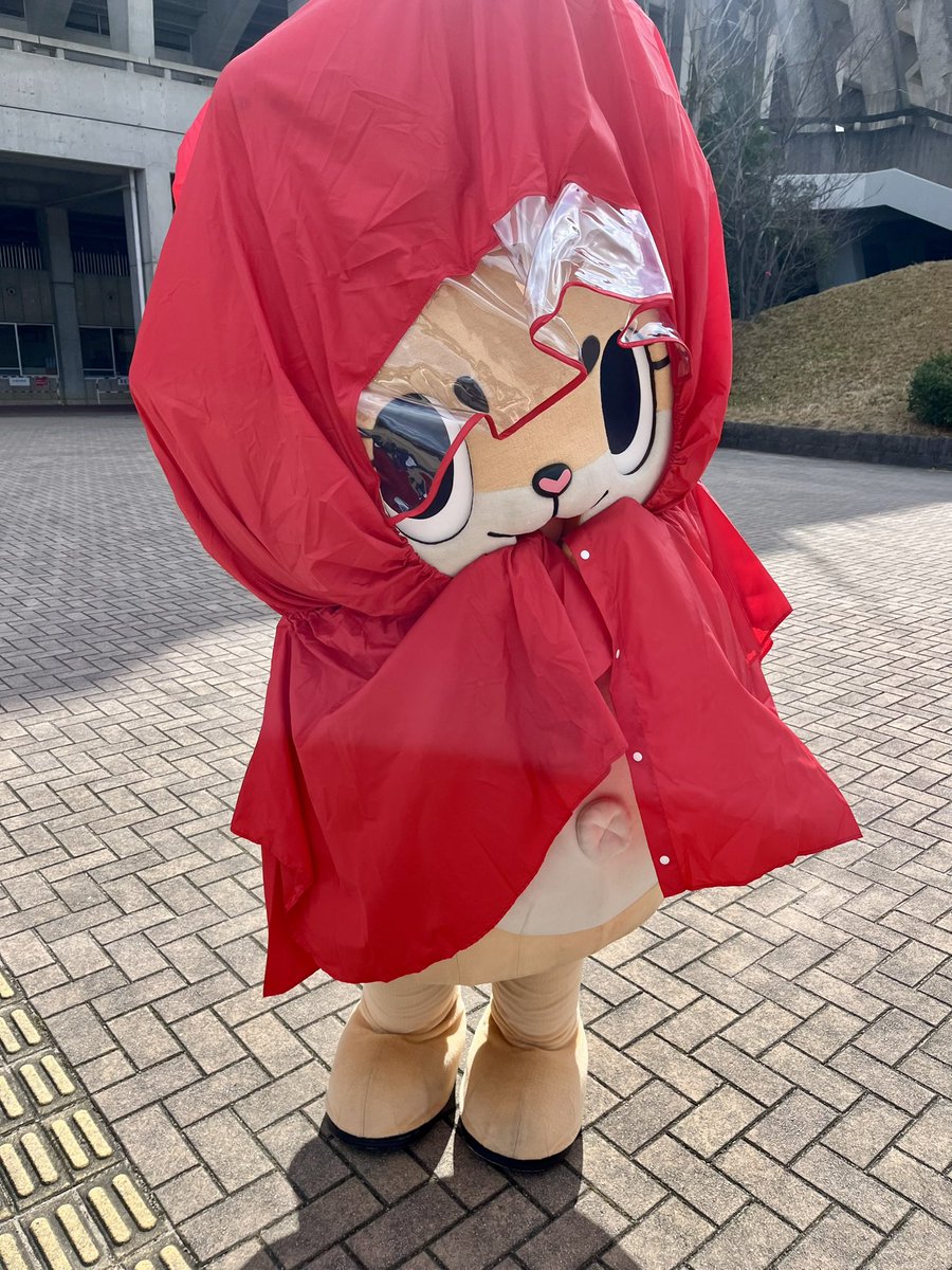 久しぶりに雨が続くね〜☔️ 風邪ひかないでね☆