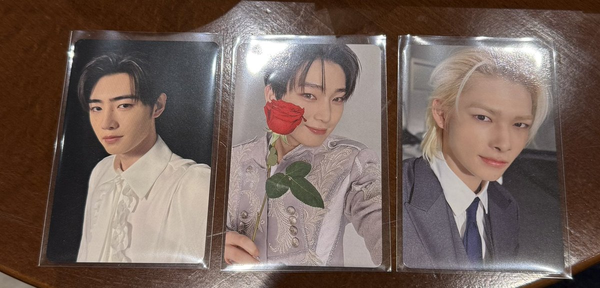 ENHYPEN VR レア ソンフン 入場特典 トレカ ENHYPEN VR コンサート