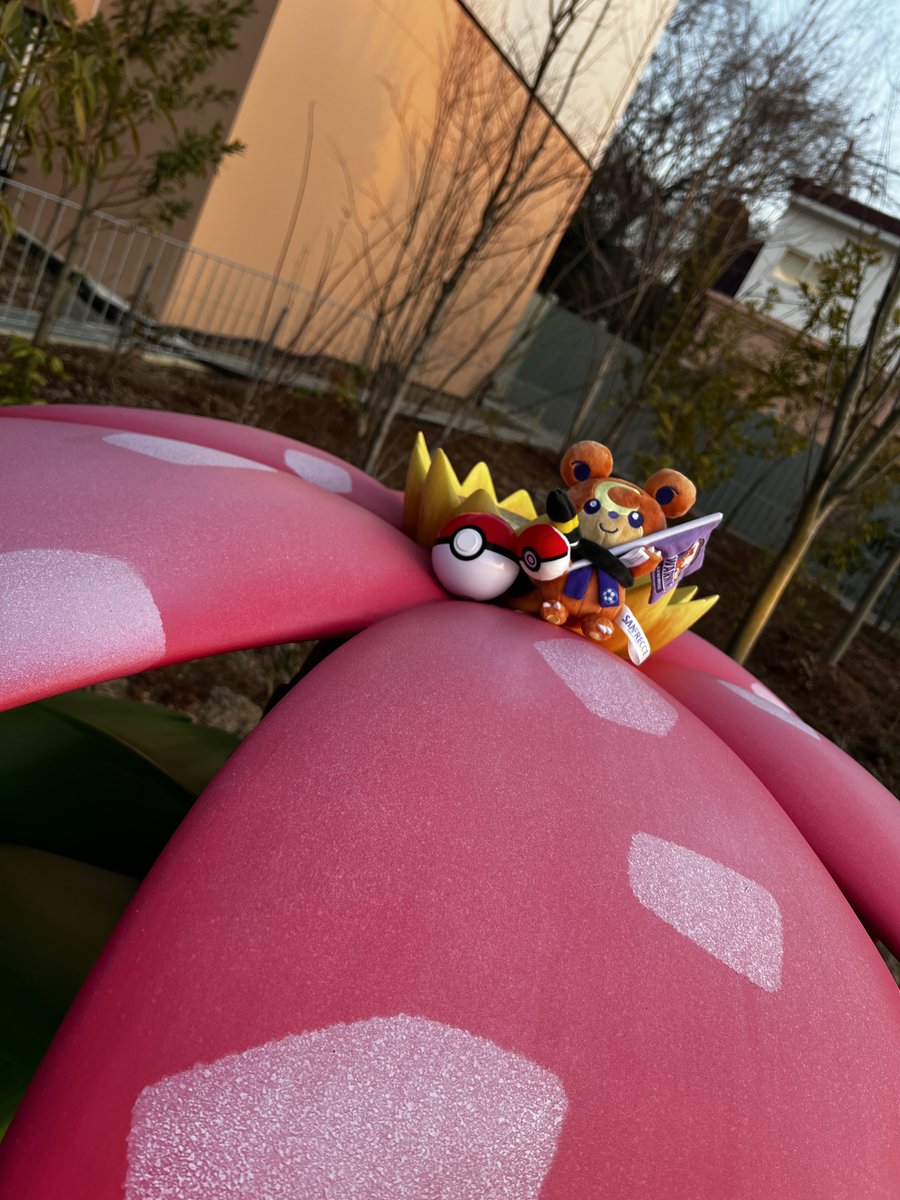 ポケパークカントー フシギソウとフシギバナ