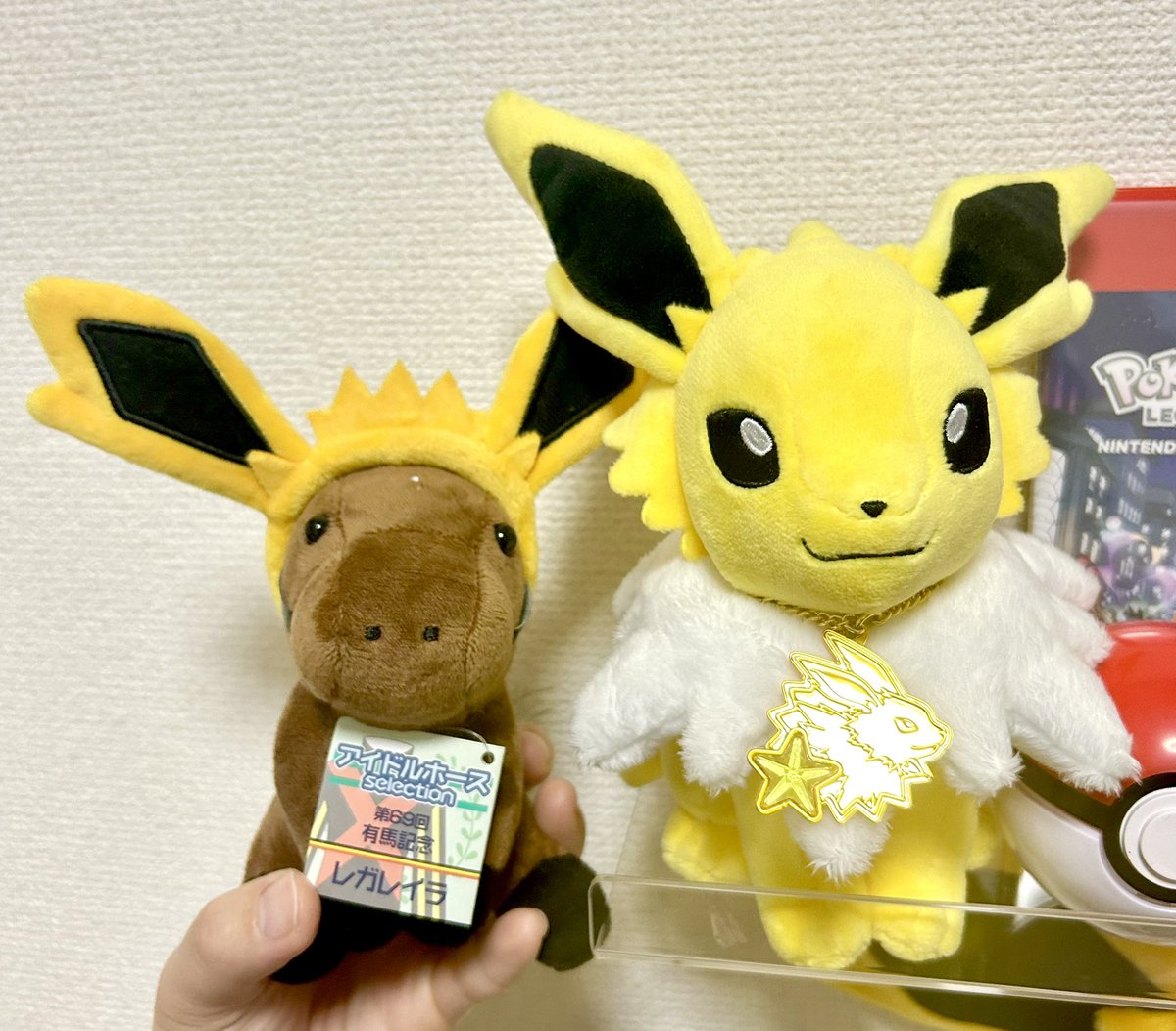 ポケパークカントーで買ったサンダースのお耳キーホルダーが中央競馬で