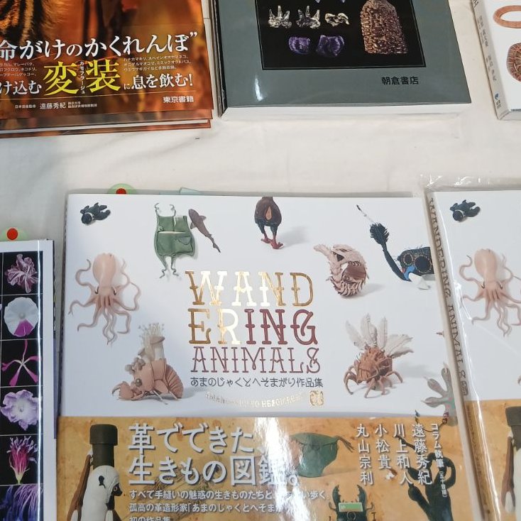 あまのじゃくとへそまがり (@amaheso_sp) / Posts / X