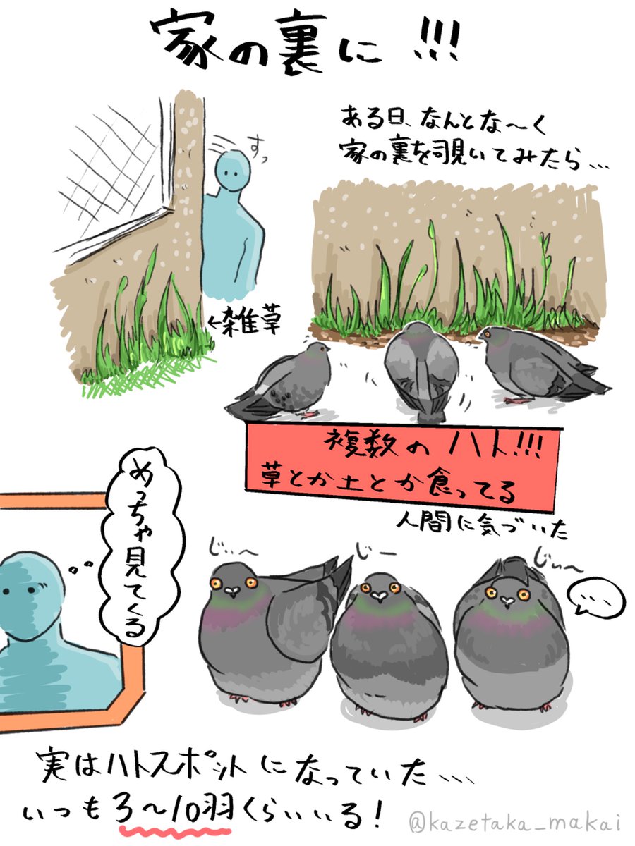 この顔がいいわぁ〜♪(*'ω' ≡ 'ω'*)♪ かんわいい（｡・ω・｡）