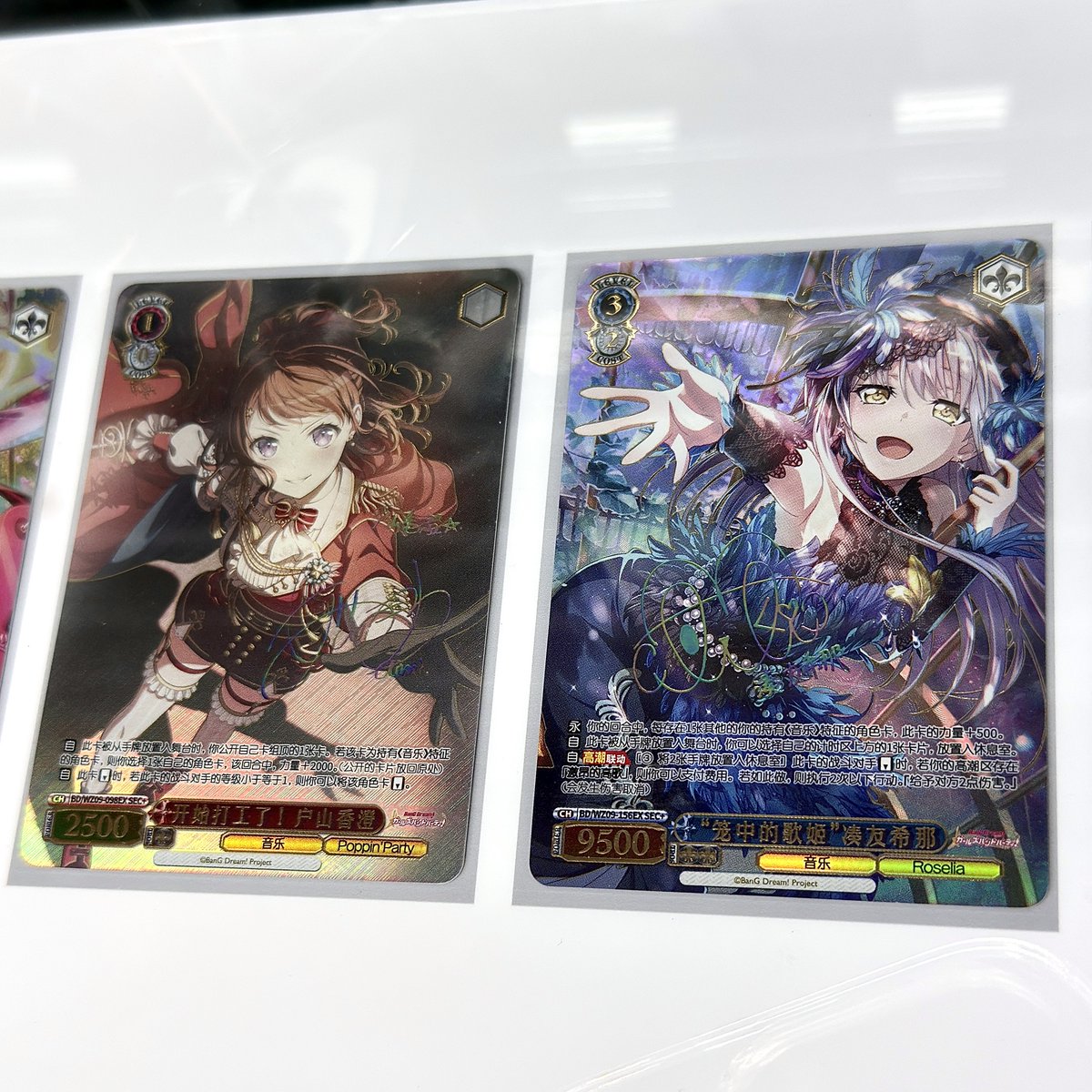 あお (@aocattleya) / Posts / X