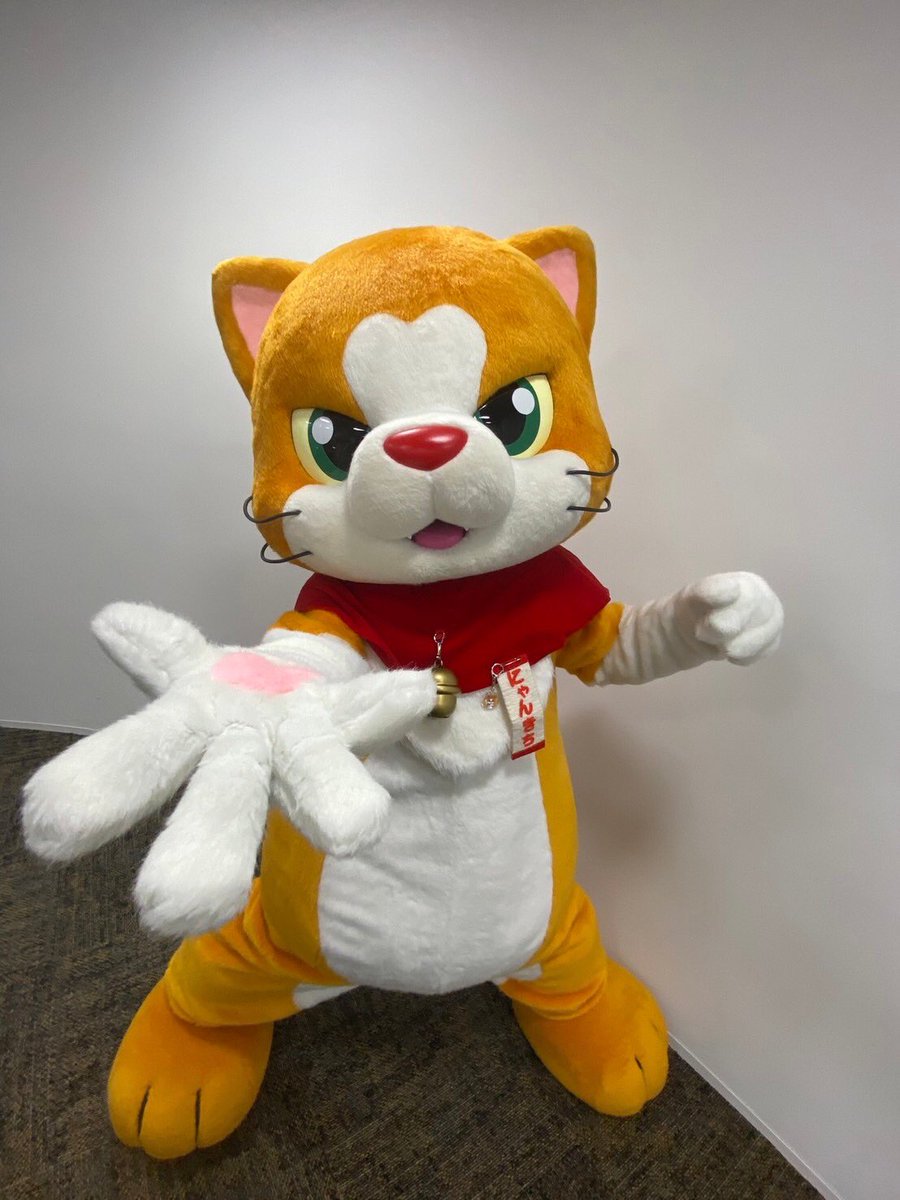 にゃん吉【公式】Nyankichi (@cat_nyankichi) / Posts / X