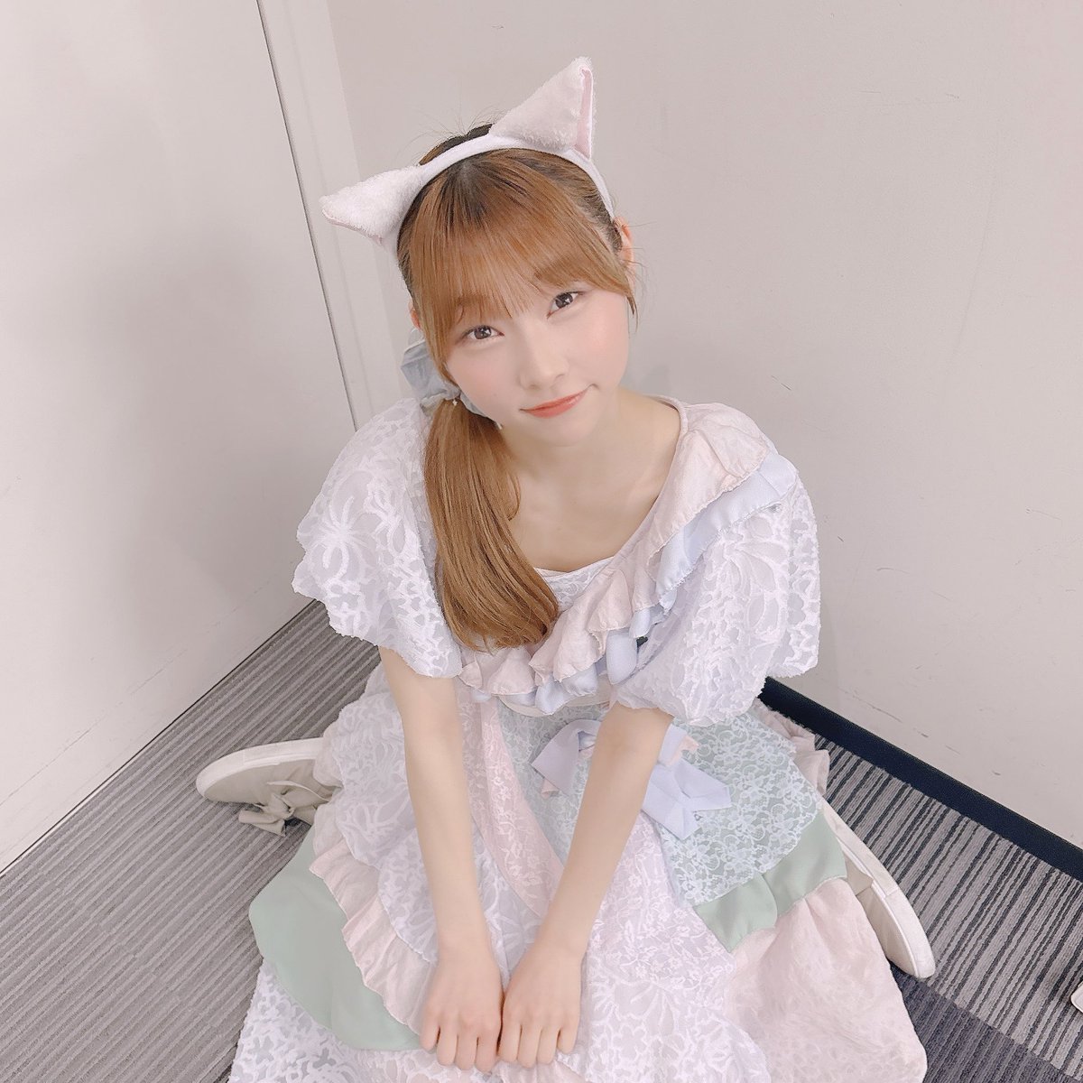 猫チェキさん発売中💡 ゲットしてくれたかにゃ？