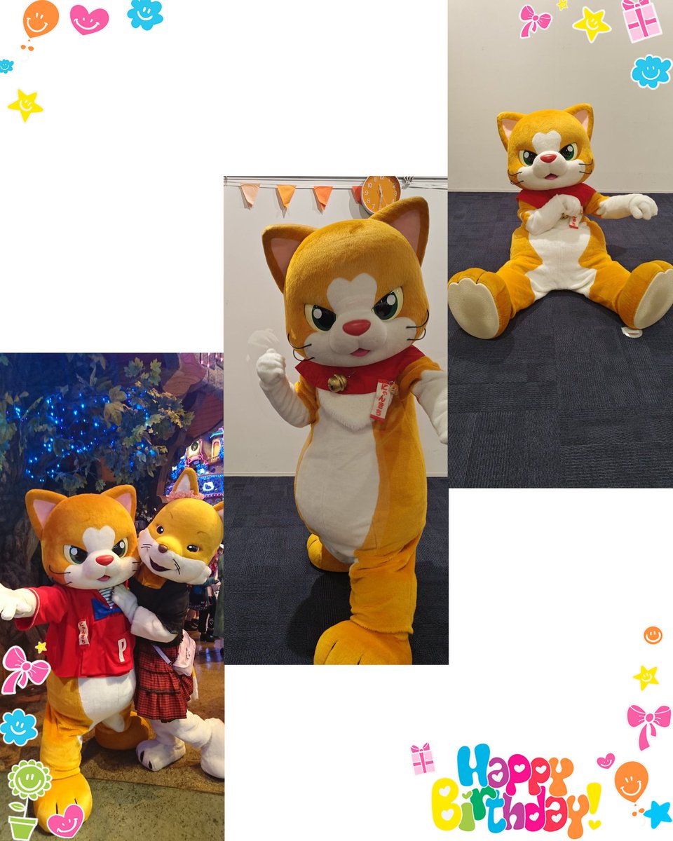 にゃん吉【公式】Nyankichi (@cat_nyankichi) / Posts / X