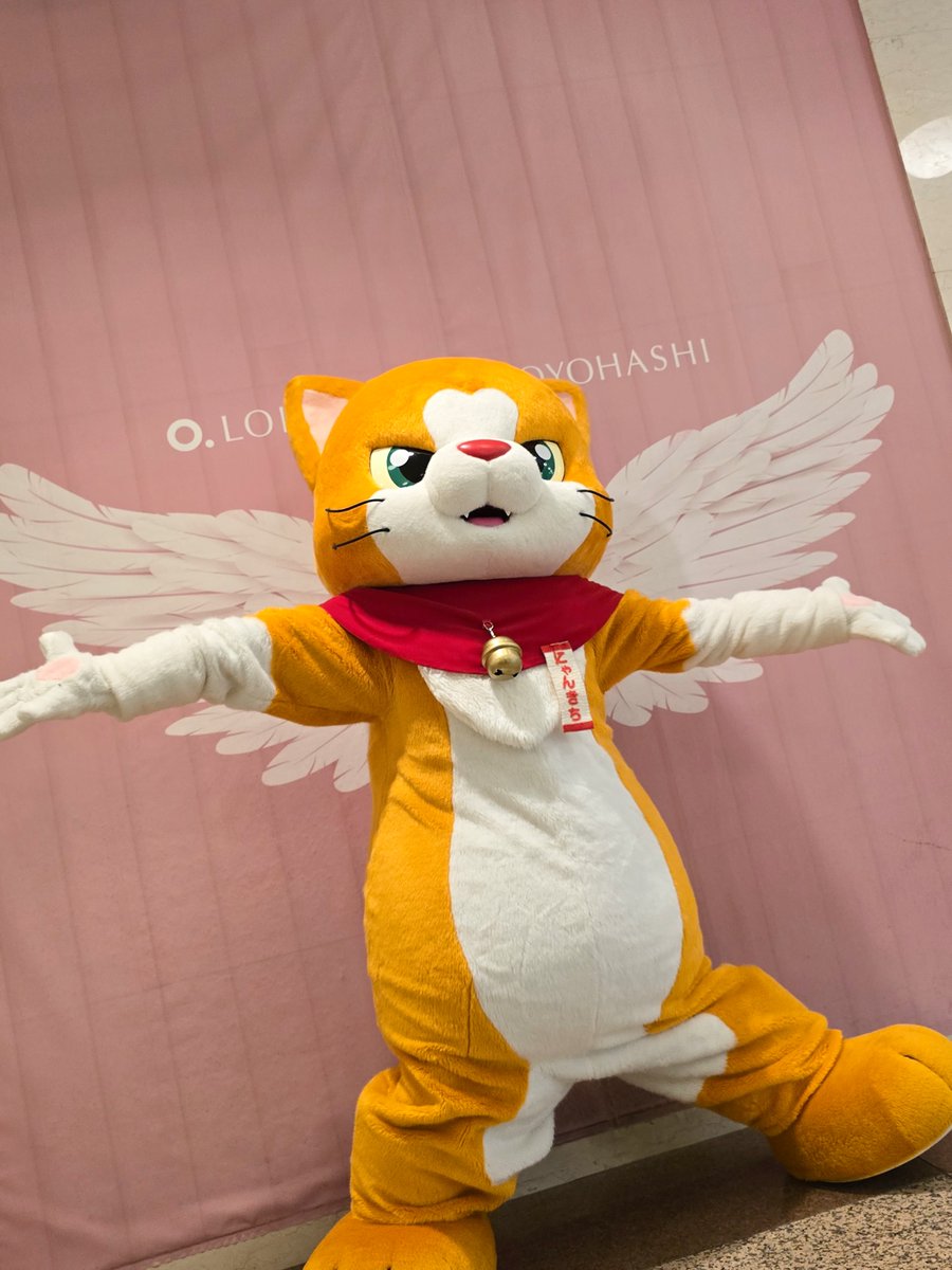 にゃん吉【公式】Nyankichi (@cat_nyankichi) / Posts / X