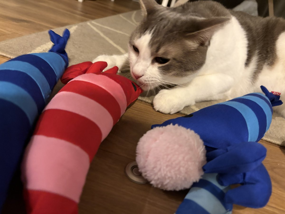 ライブリーラブリー ねこ 昭和レトロ ヴィンテージ ライブリー