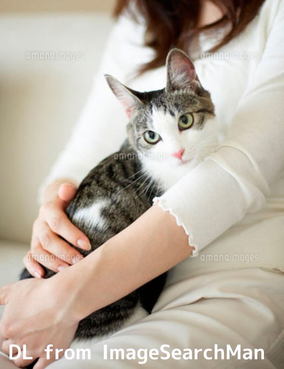 世界中の猫ちゃんが幸せに暮らせますように🙏 #猫の日 #猫好きさんと