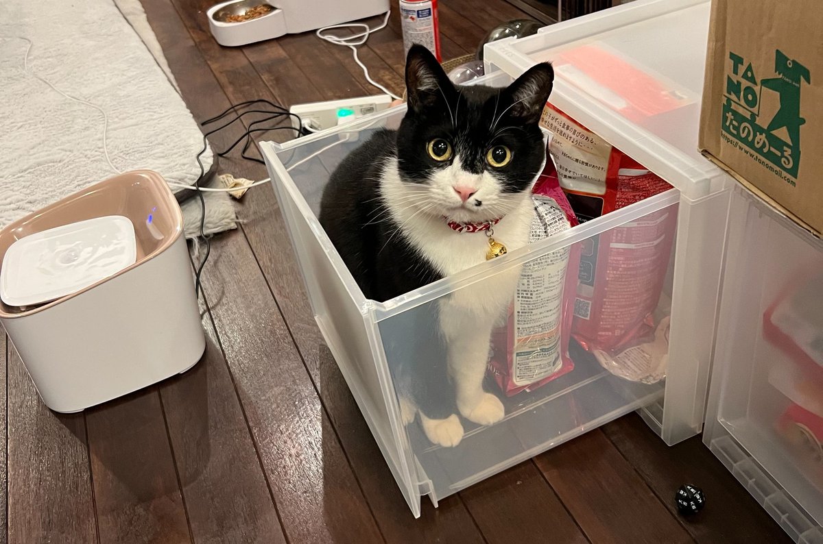 たんたん (@tantan_sing) / Posts / X