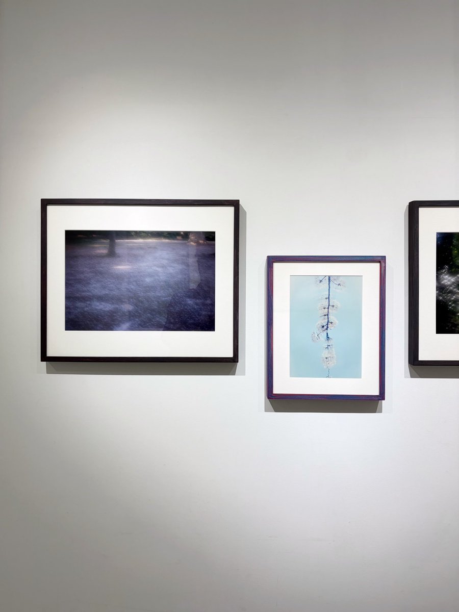 熊谷聖司 (@Kumagaii_seiji) / Posts / X