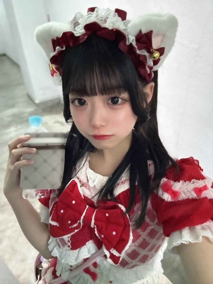 にゃんこだにゃーん🐾 #猫の日