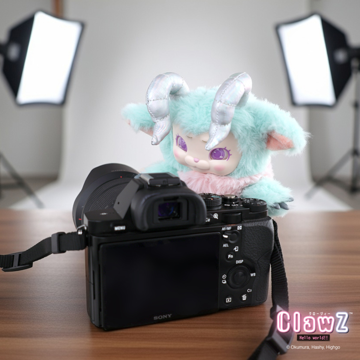 ハシートップイン【公式】🐥 (@HashyProduct) / Posts / X