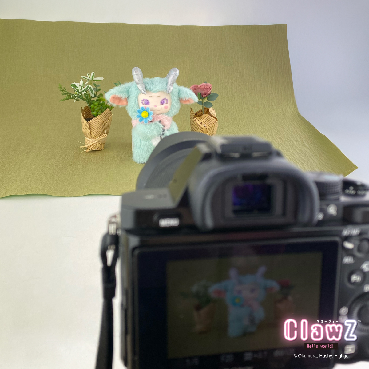 ハシートップイン【公式】🐥 (@HashyProduct) / Posts / X