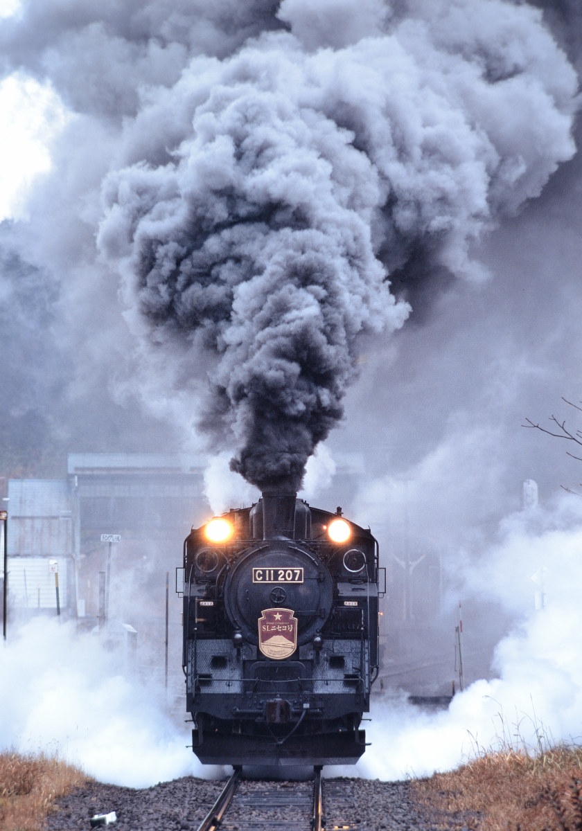 SLニセコ号 SLニセコ号 函館本線 C11207 小沢駅（FUJICHROME