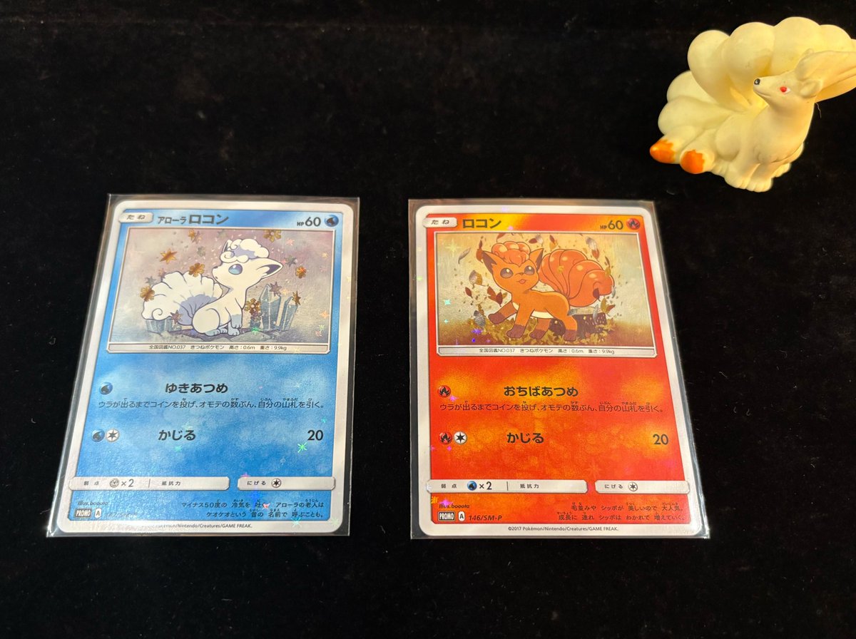 ✨本日はこちらの商品を紹介いたします✨ 『スペシャル BOX Rokon's