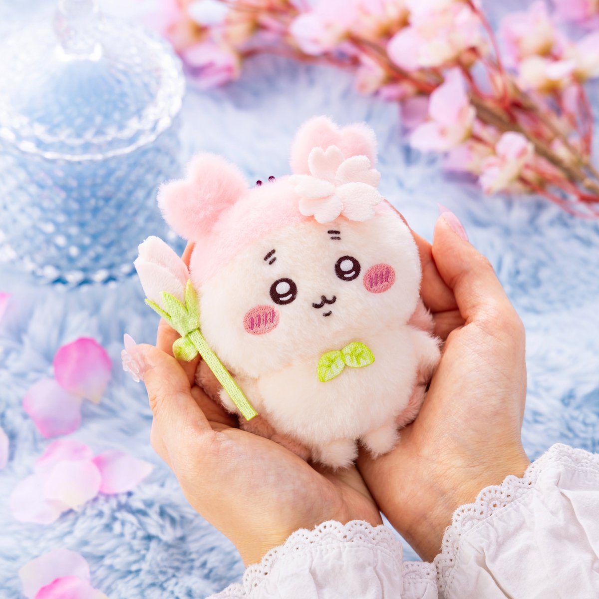 くま子 (@kuma8j) / Posts / X