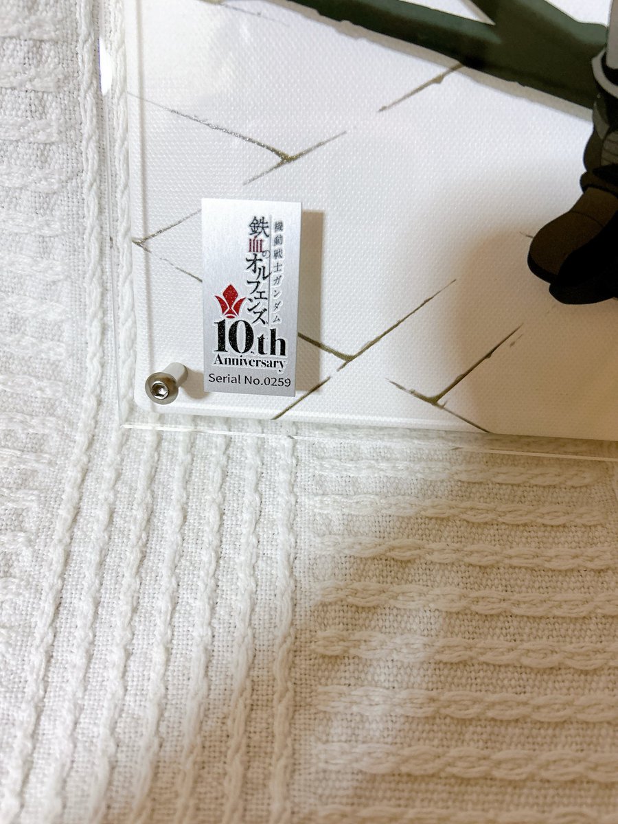 一日遅れの自分への誕生日プレゼント🎂 機動戦士ガンダム 鉄血の