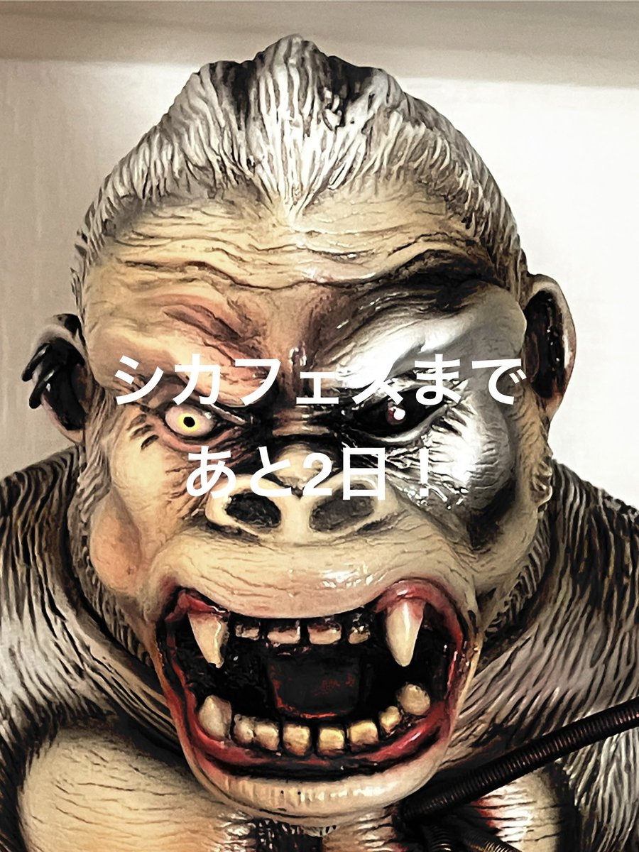 TEZU (@animalfigurine) / Posts / X