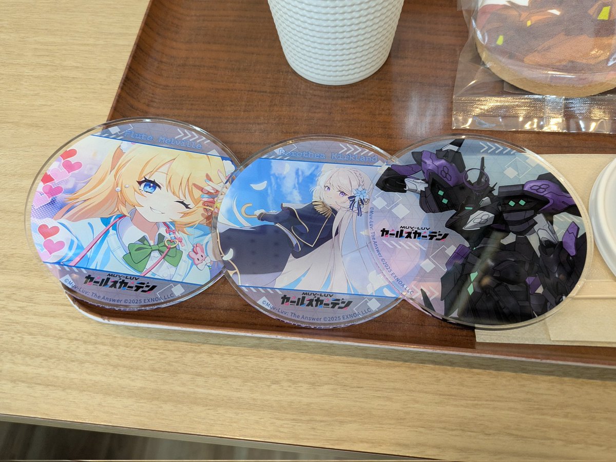 ちなみにアクリルコースターの結果はこんな感じ✨ お目当ての謎機体の