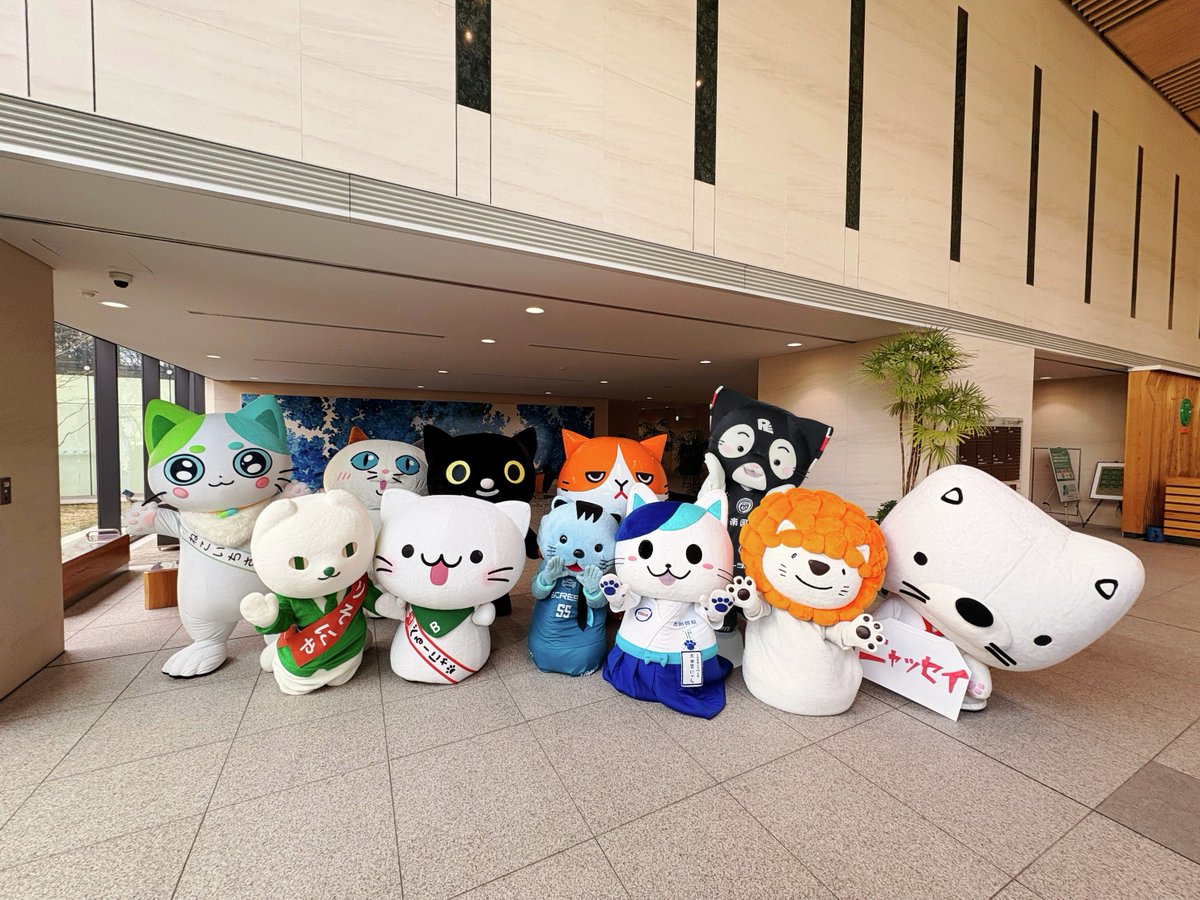 ねこいちさん（第一三共ヘルスケア） (@neko_ichi_san) / Posts / X