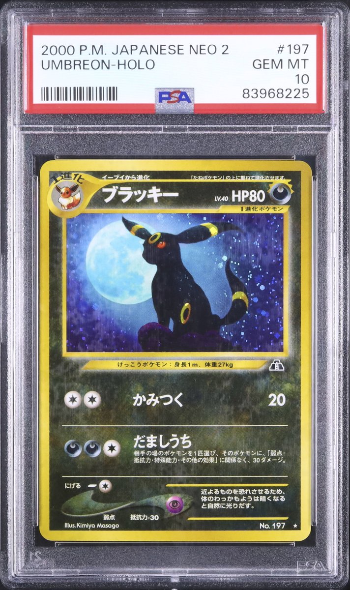 ─────── ·𖥸· ─────── · · ✧ ・ﾟ: 本日のピックアップ