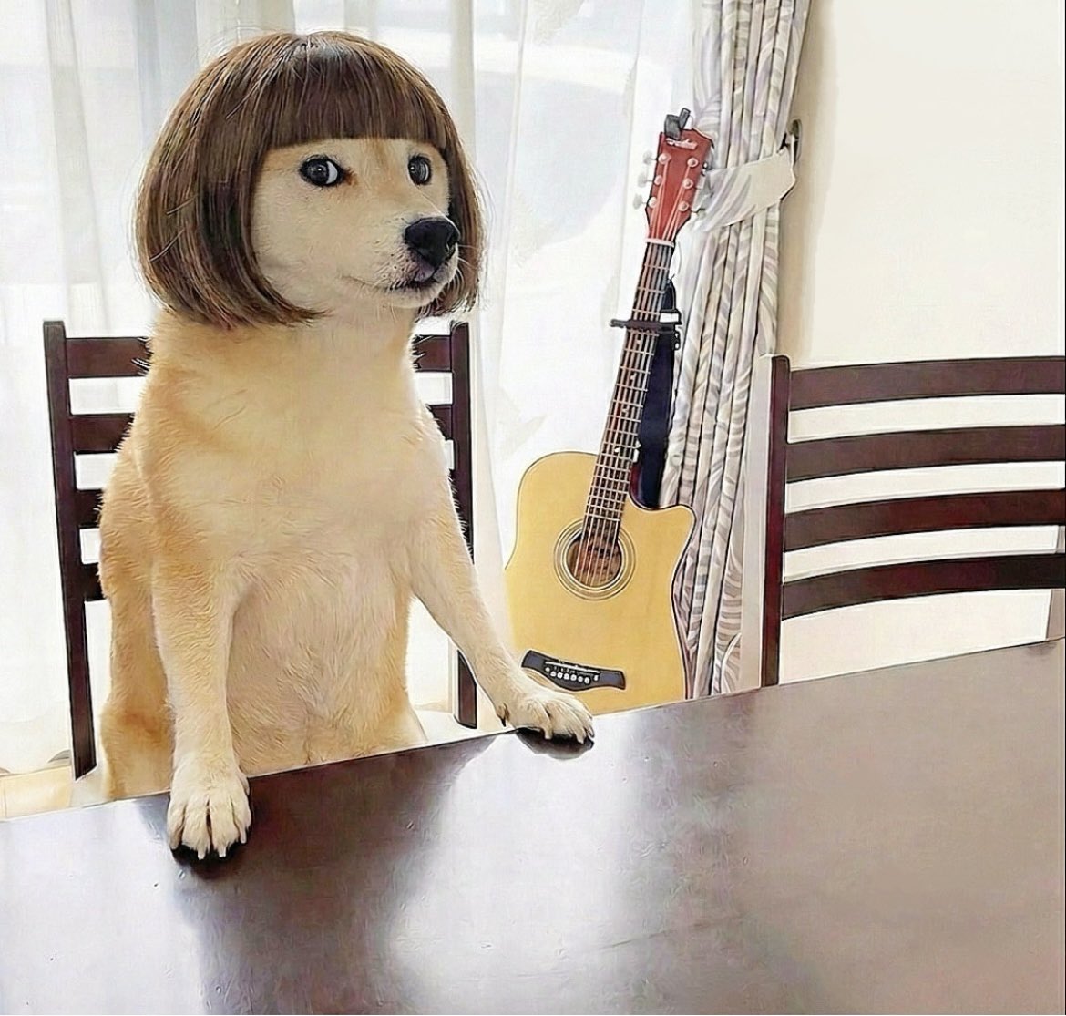 のーまーくん (@j44KMPlXzmq1CRb) / Posts / X